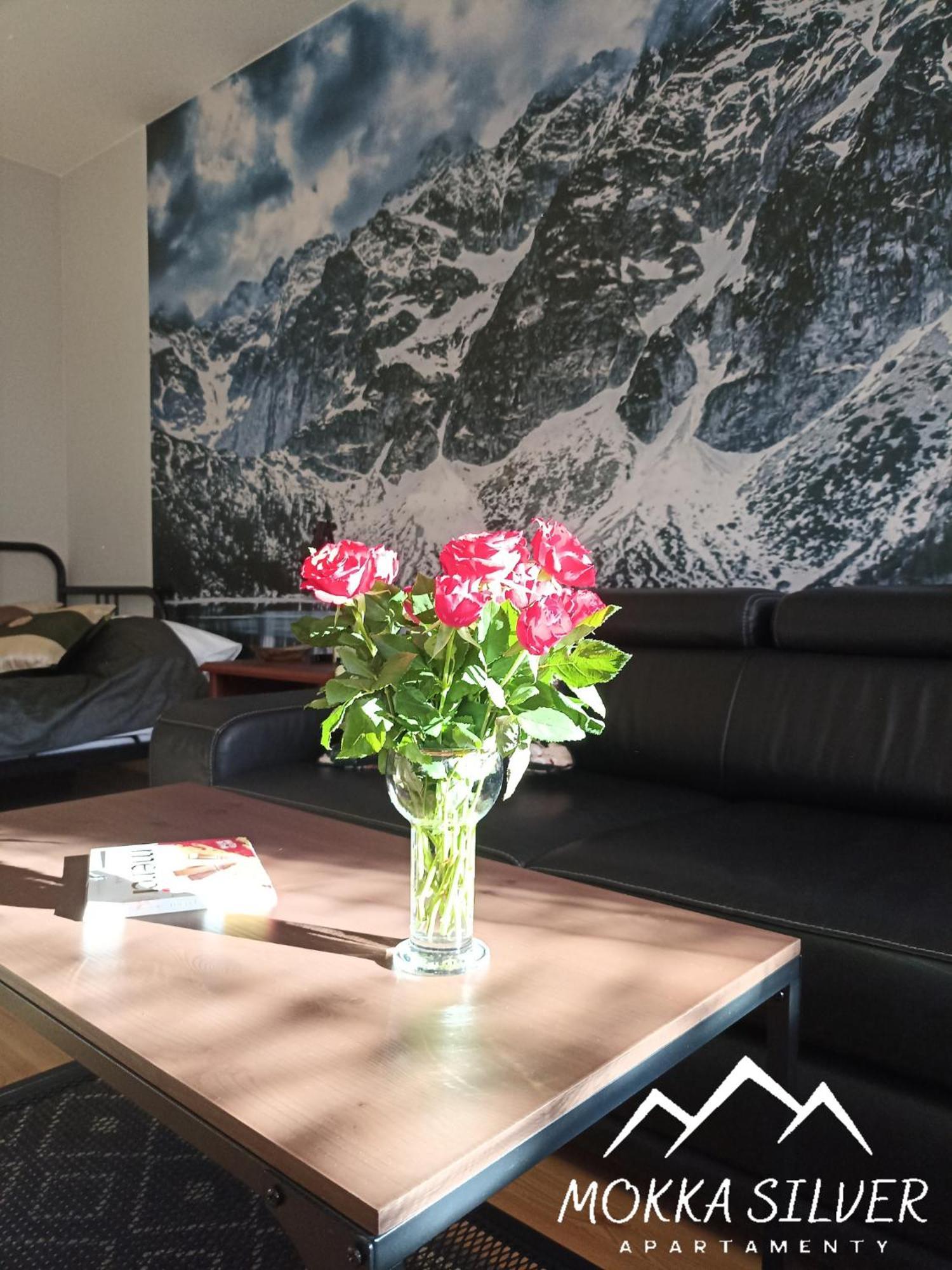 Mokka Silver & Na Viva Maria Apartment Zakopane